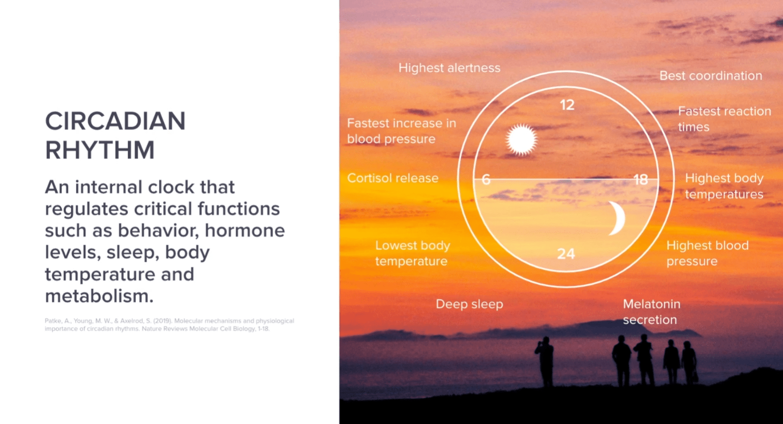 Biophilic Design How To Bring Nature Into Your Home Balanced