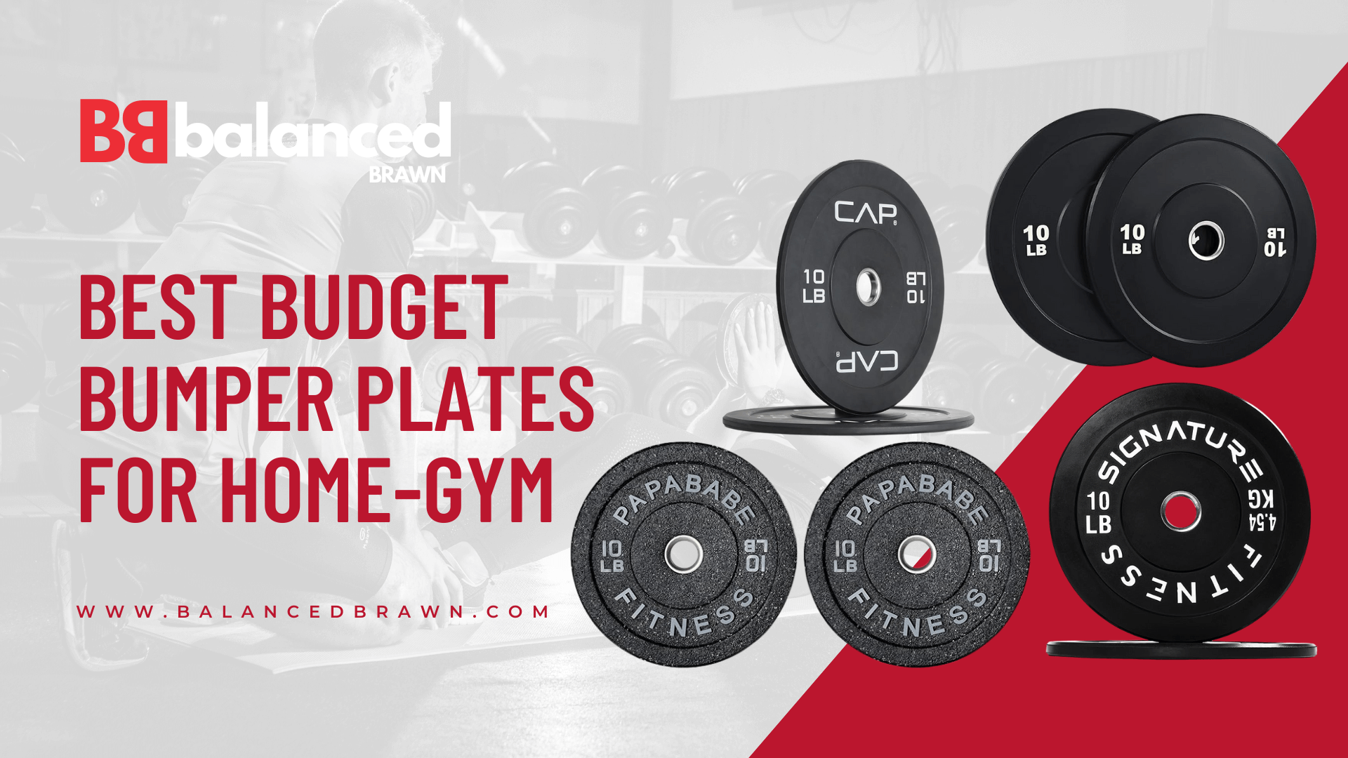 Best Budget Bumper Plates For HomeGym 2024 Balanced Brawn