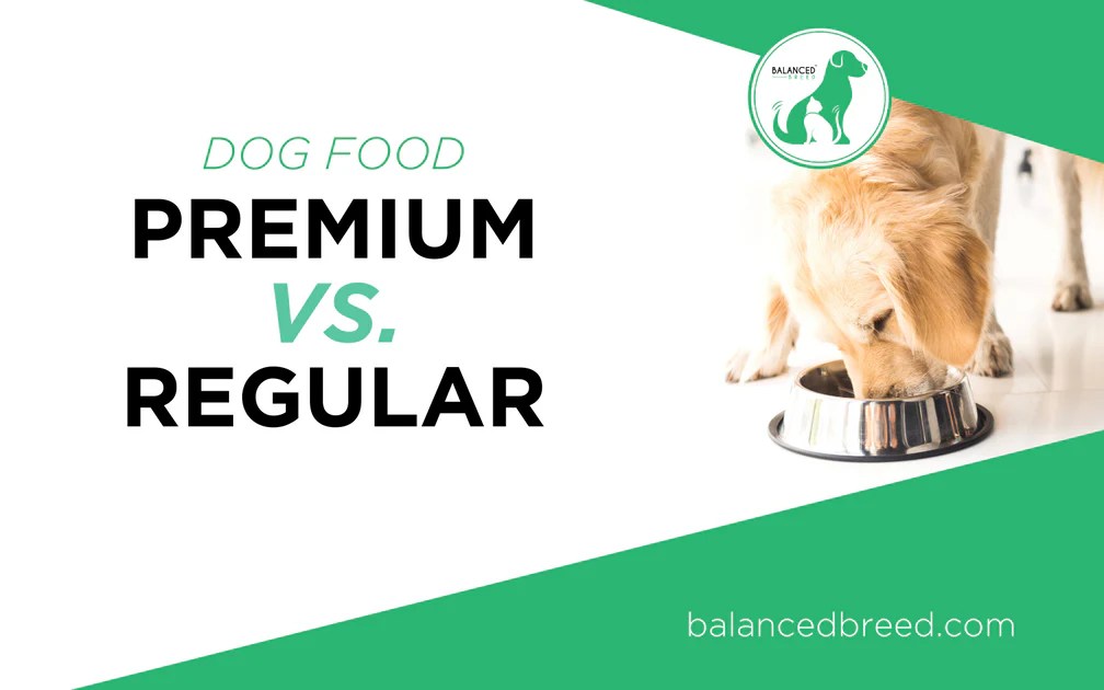 Premium Dog Food Is Not Always Better & This is Why