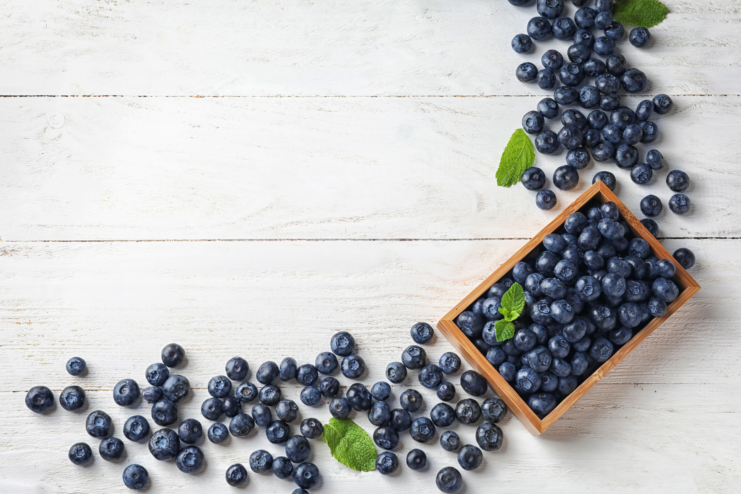 Superfood Blueberries Balanced Habits