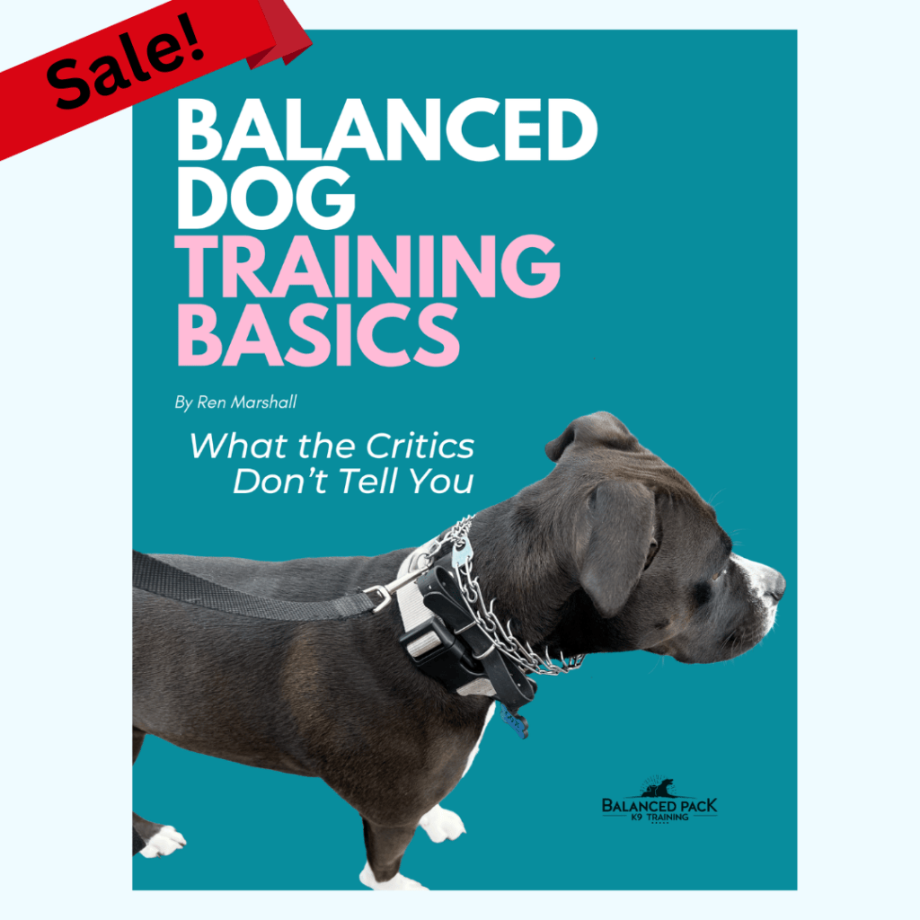 Dog Training Portland, Private Lessons & Board and Train Portland