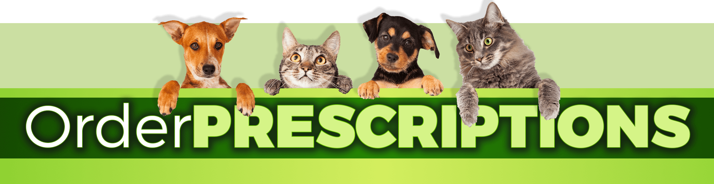 Order Prescriptions VHC