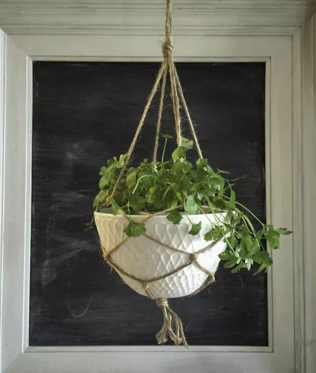 9 Cheap & Easy DIY Macrame Plant Hangers Balancing Bucks