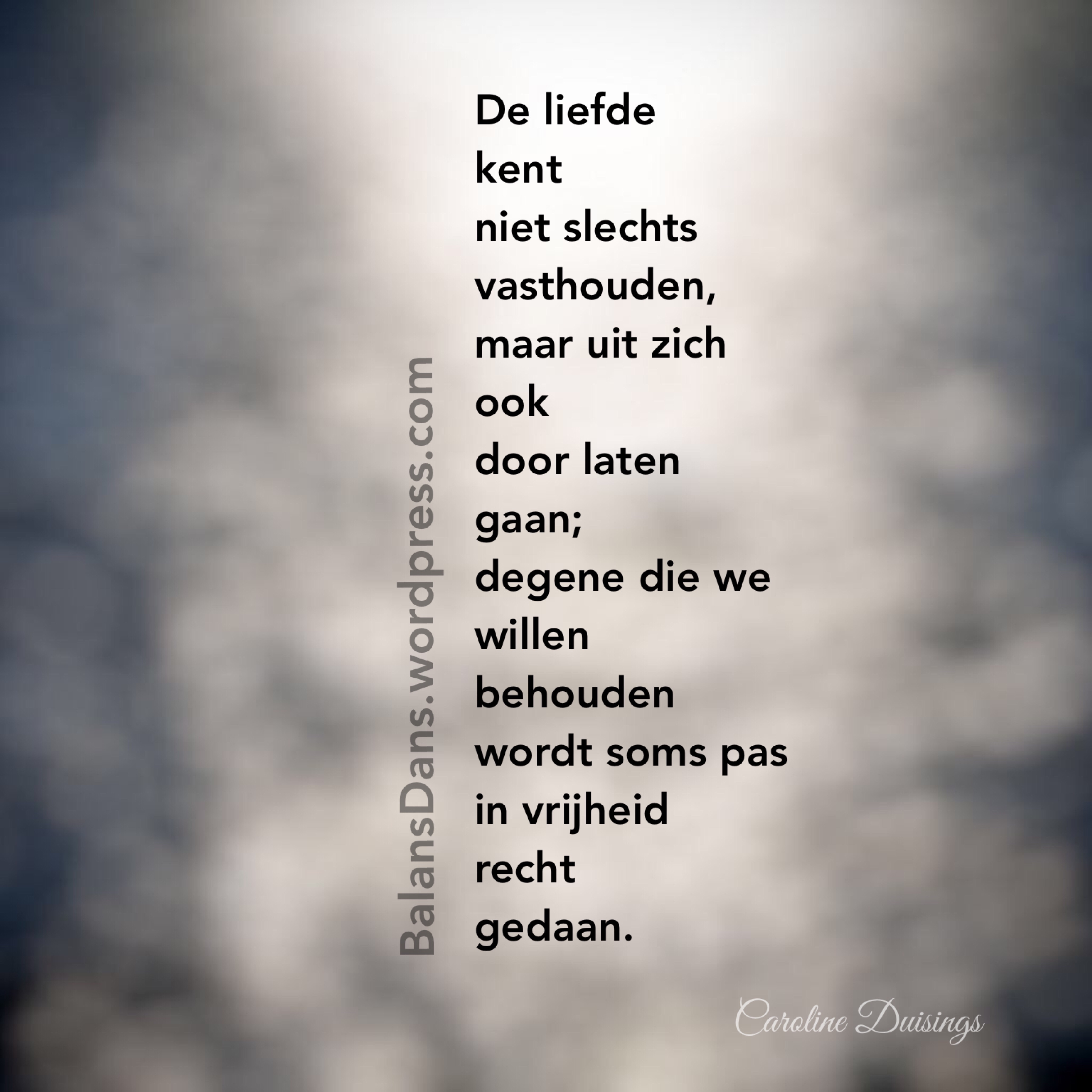 In Liefde Loslaten | Balansdans (By Caroline Duisings)