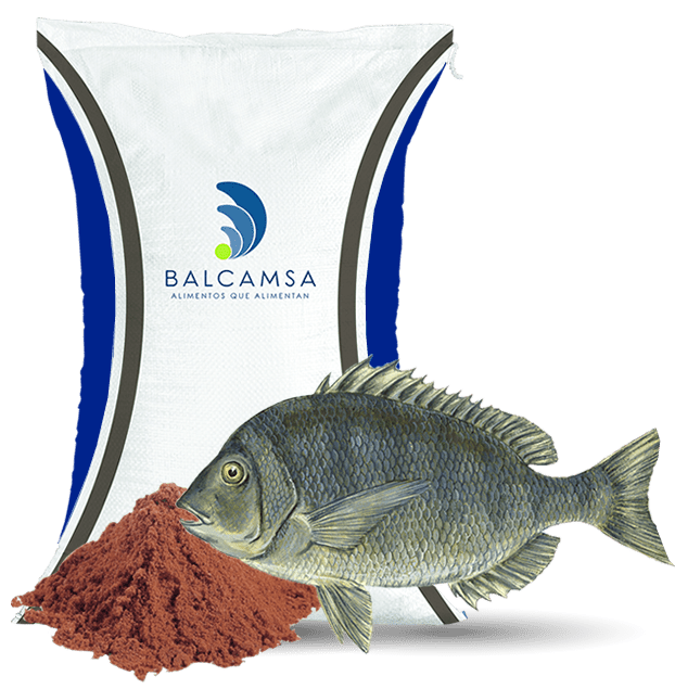 Harina de Pescado Balcamsa