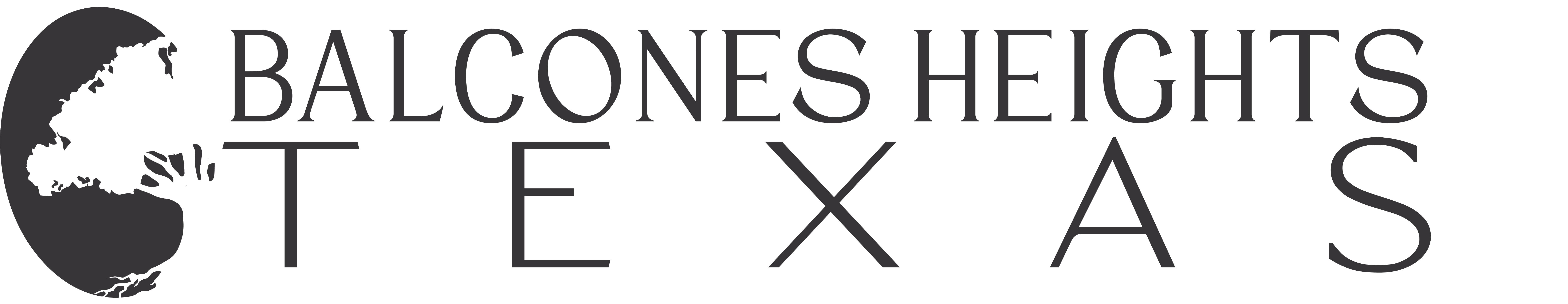 Home Balcones Heights, Texas