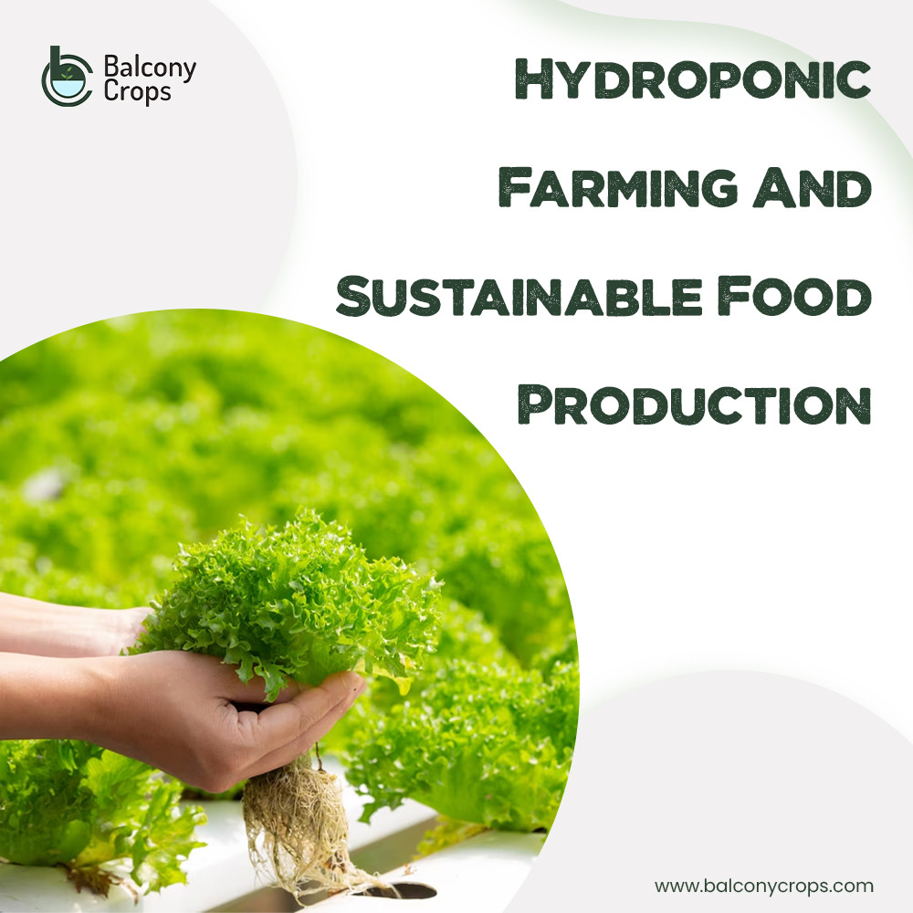 Hydroponic Farming and Sustainable Food Production Balcony Crops