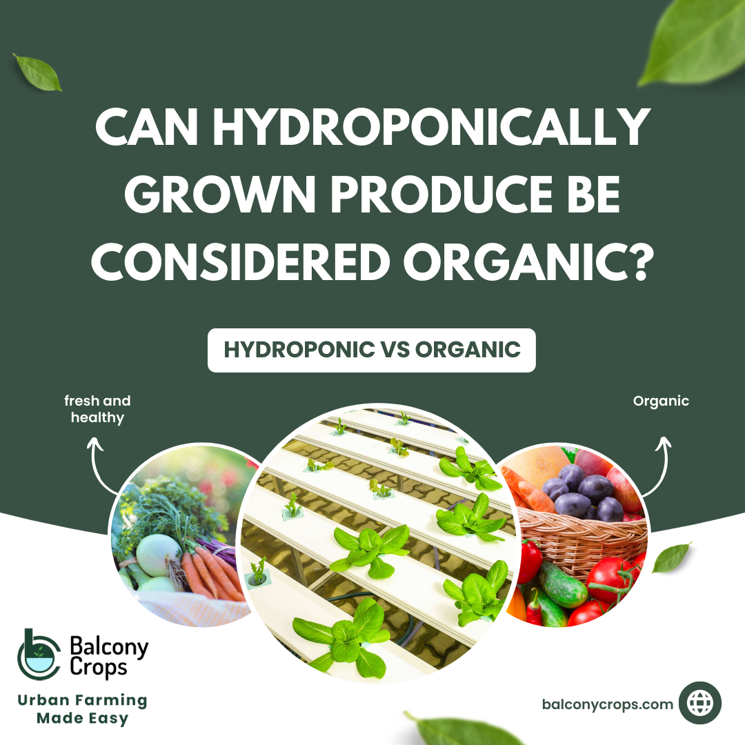 Can hydroponically grown produce be considered organic? Balcony Crops