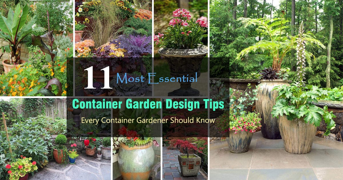 Container Garden Layout Ideas Outdoor Decor Ideas