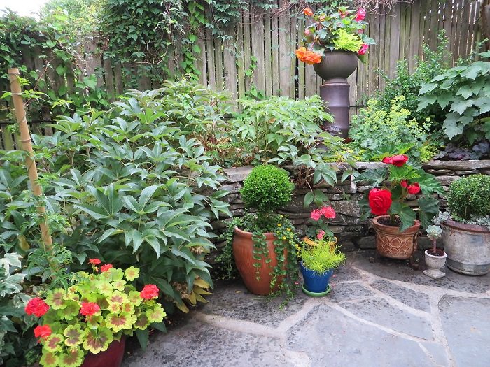 11 Most Essential Container Garden Design Tips Designing a Container