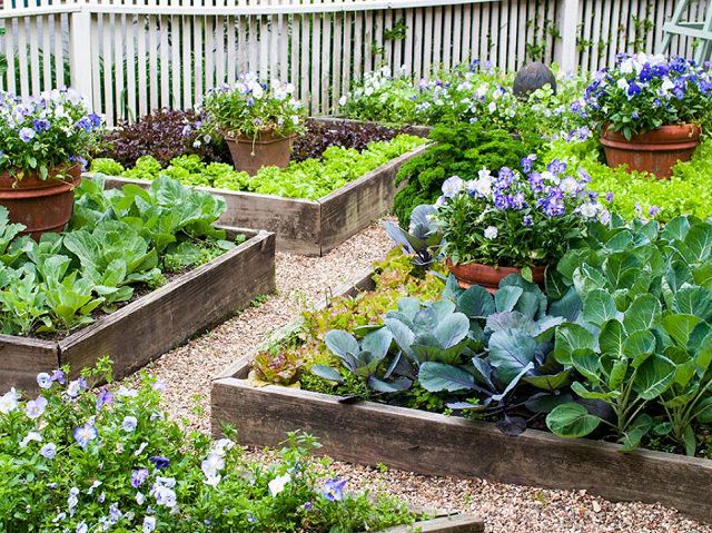 Small-Space Vegetable Gardens: Growing Great Edibles in.