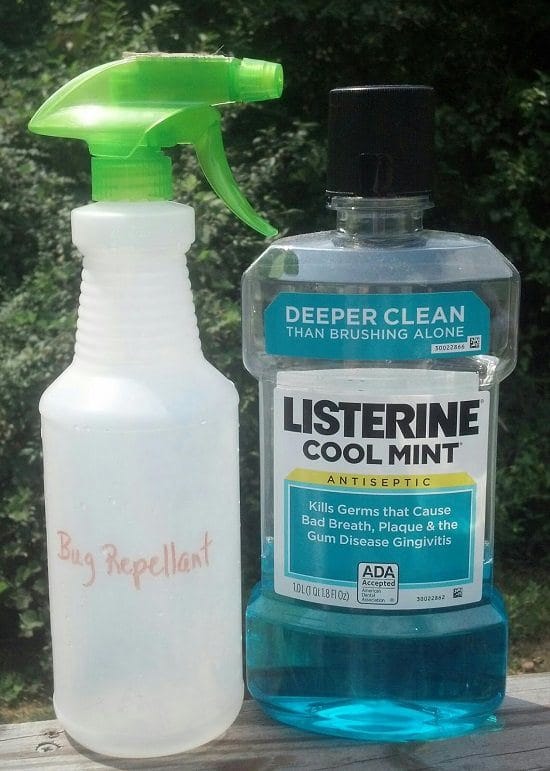 Amazing Listerine Uses In Garden That Works 7 Mouthwash Uses