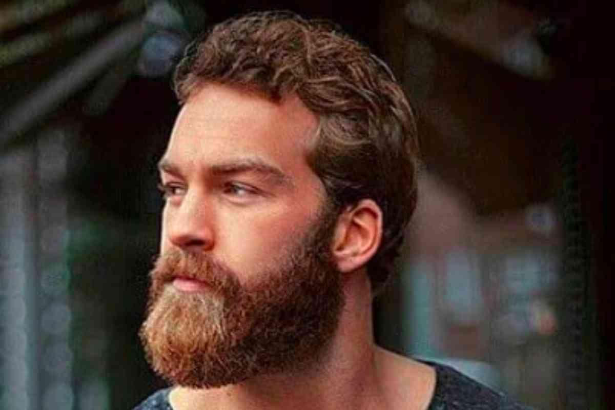 Best Beard Styles for Older Men 12 Distinguished Looks Bald & Beards