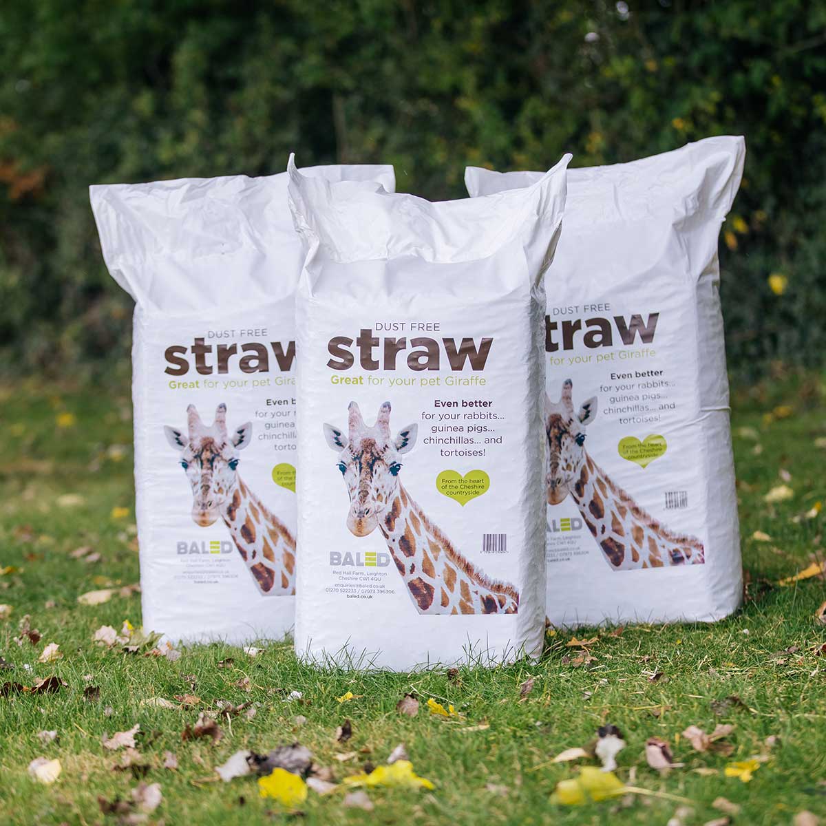 Dust Free Bagged Straw for Sale Baled