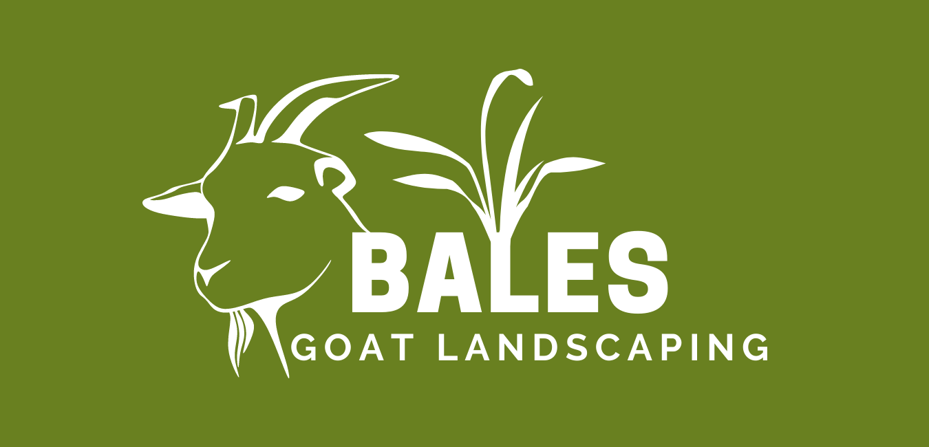 Bales Goats Goat Landscaping