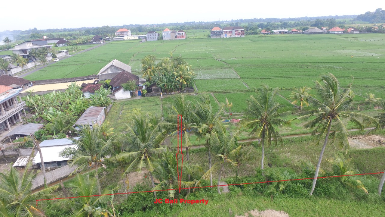 LAND FOR LEASE 10 ARE IN KABAKABA Bali Property Agency