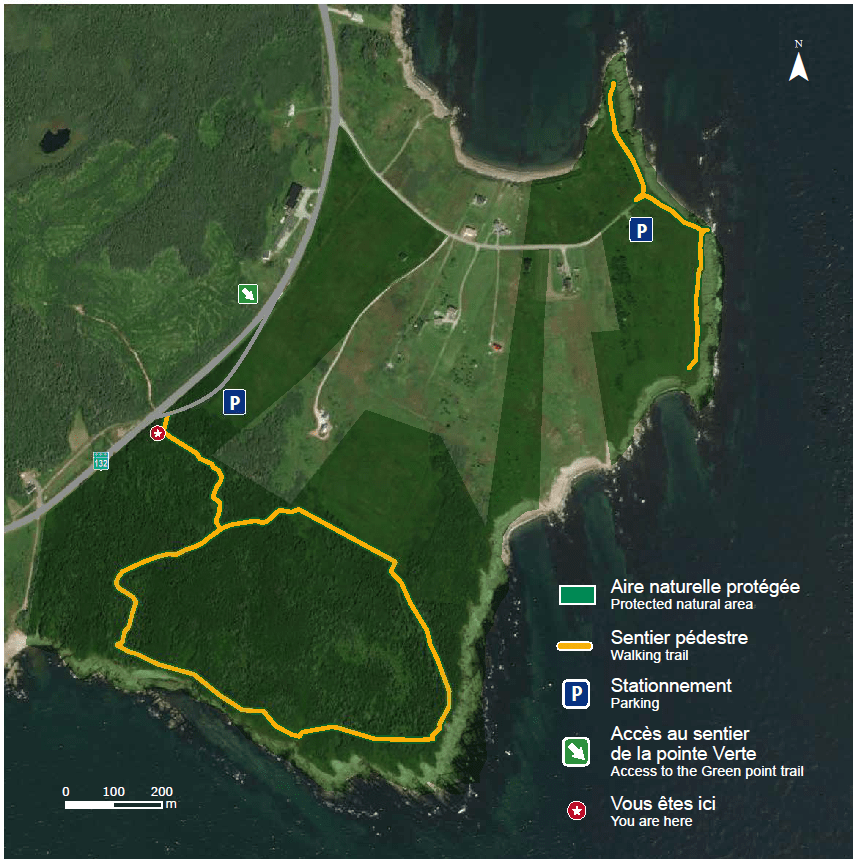 [Gaspésie, de Malbaie] Pointe SaintPierre — On va se promener?