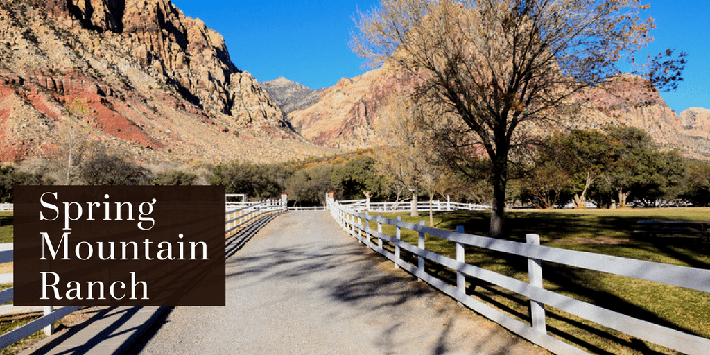 Spring Mountain Ranch Homes For Sale under 400K