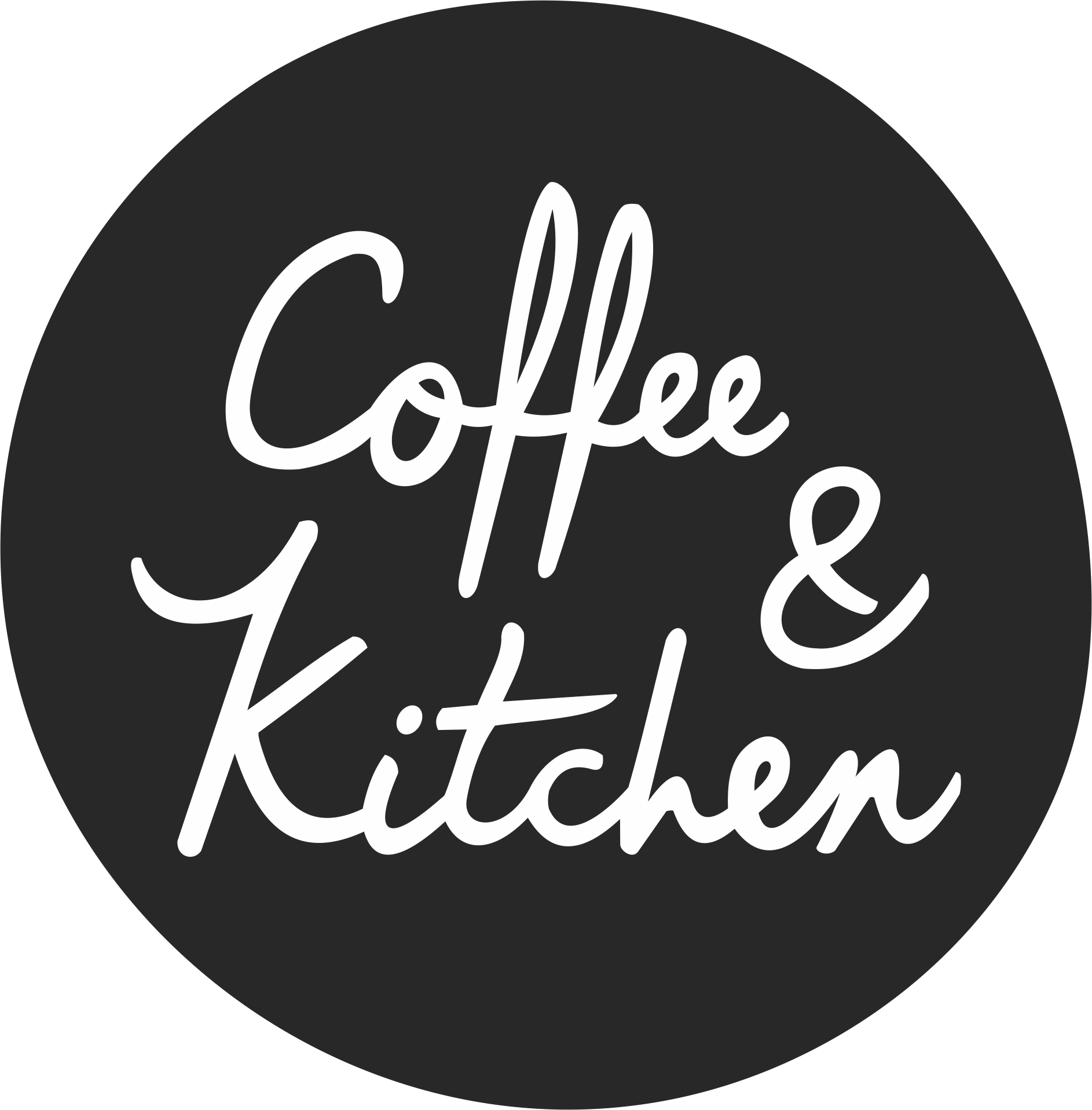 Sponsors Ballina Touch Association