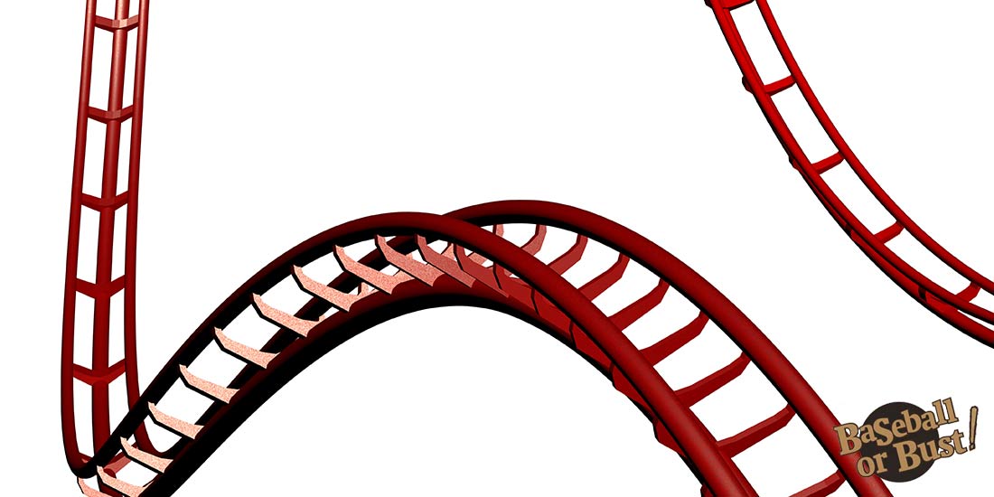 Roller Coaster Ball BallNine