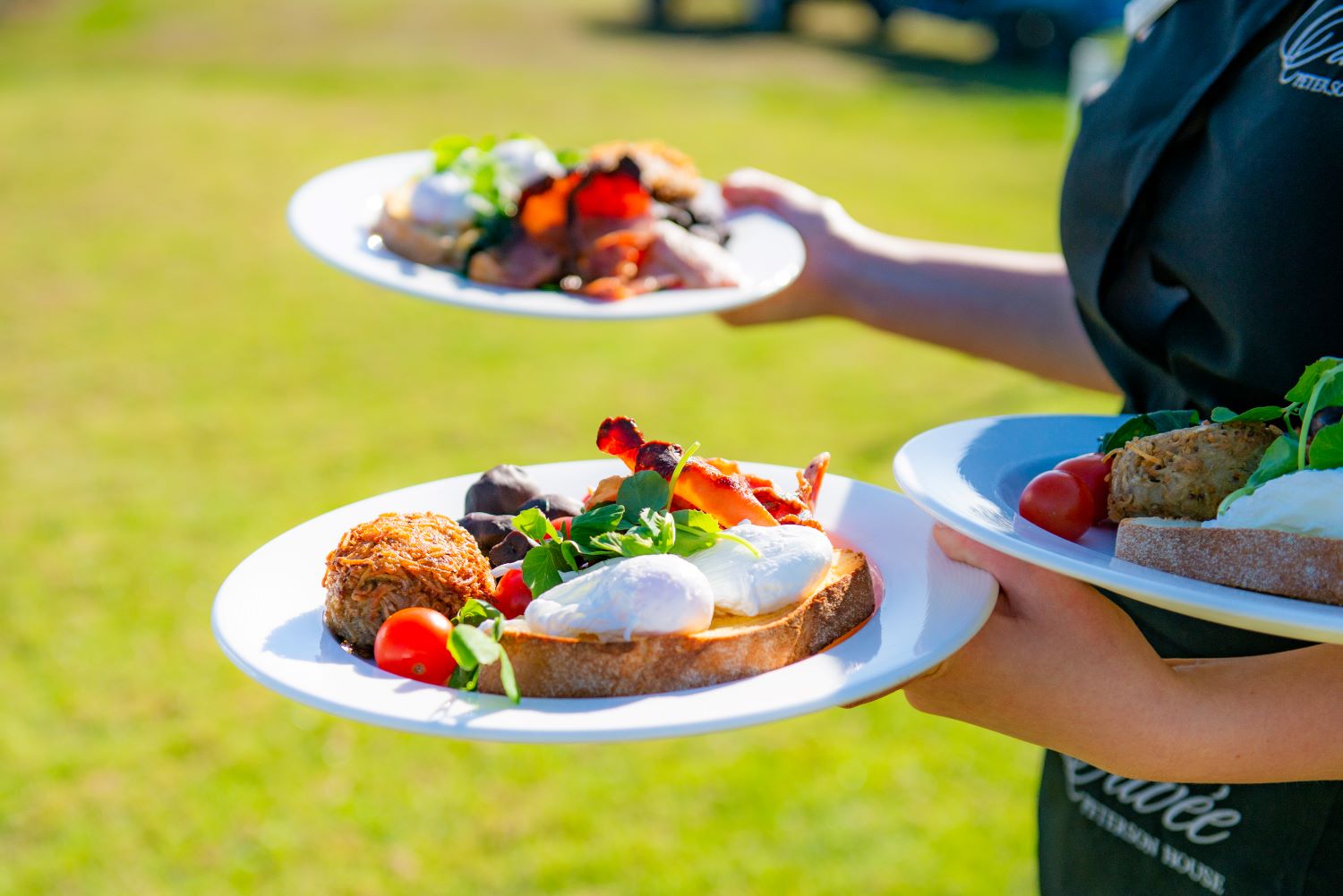 Hunter Valley Hot Air Balloon Rides & Flights Balloon Aloft