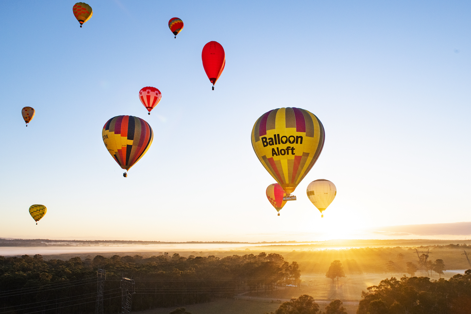 Hunter Valley Hot Air Balloon Rides & Flights Balloon Aloft
