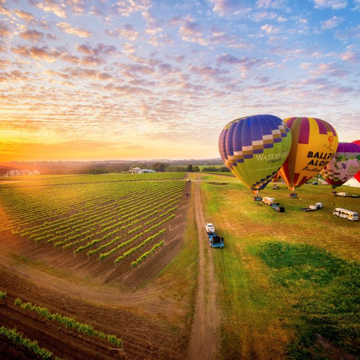 Hunter Valley Balloon Photo Gallery Balloon Aloft