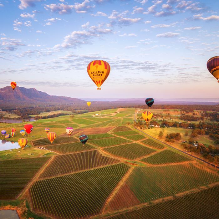 Hunter Valley Balloon Photo Gallery Balloon Aloft