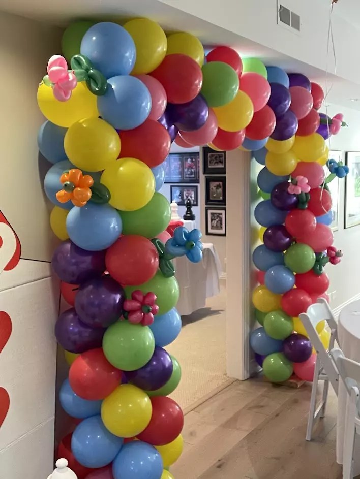 Balloon Arches In Vernon Hills BalloonLab