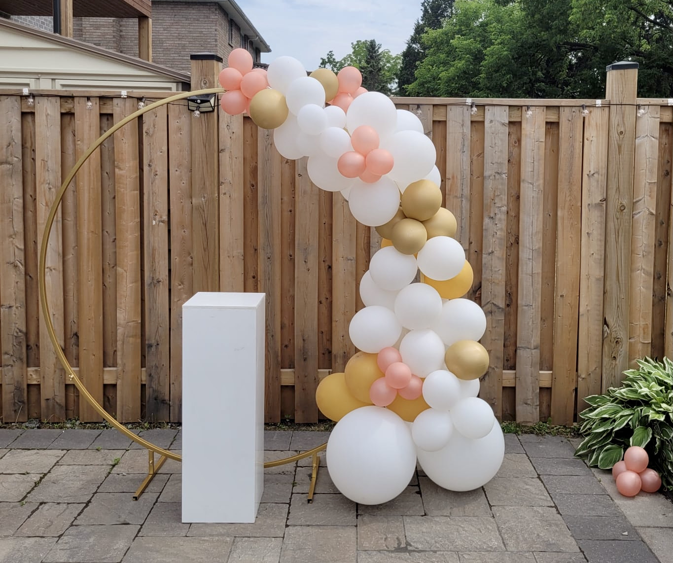 Balloon Delivery Peterborough Balloons Bash