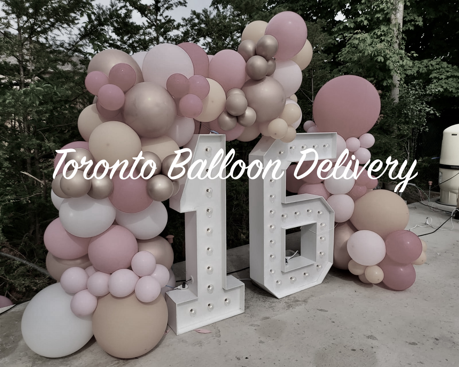 Balloon Delivery Toronto Balloons Bash