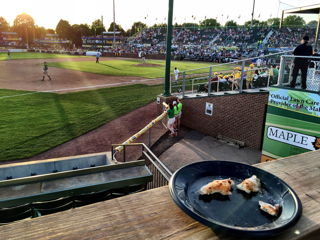 Best of the Ballparks Summer Collegiate Ballpark Digest