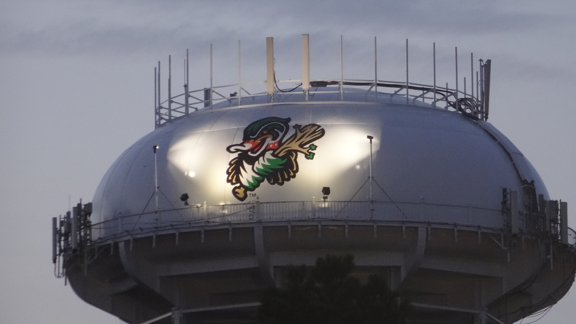 Down East Wood Ducks / Grainger Stadium Ballpark Digest