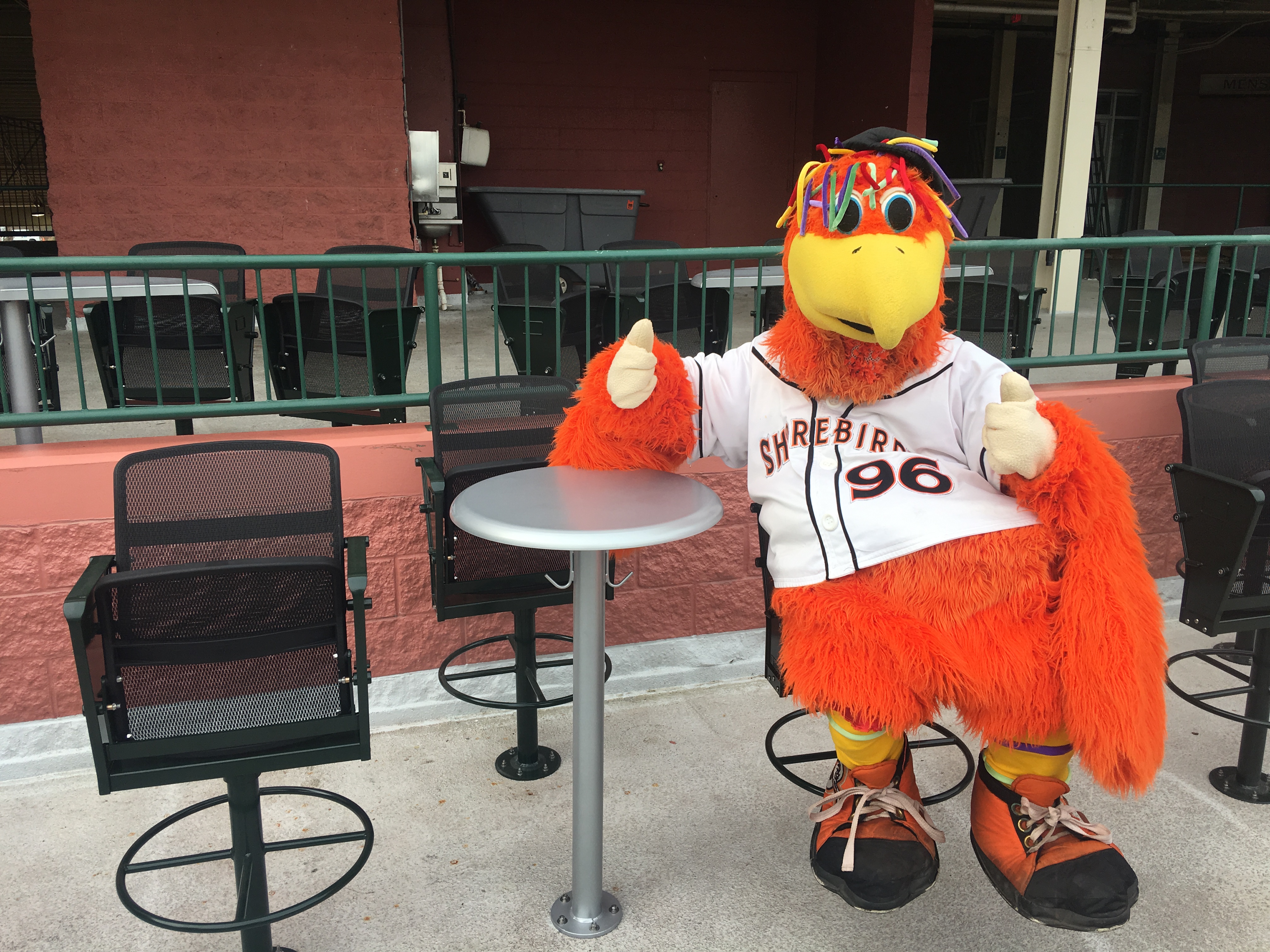 Shorebirds Make Latest Perdue Stadium Renovations Ballpark Digest