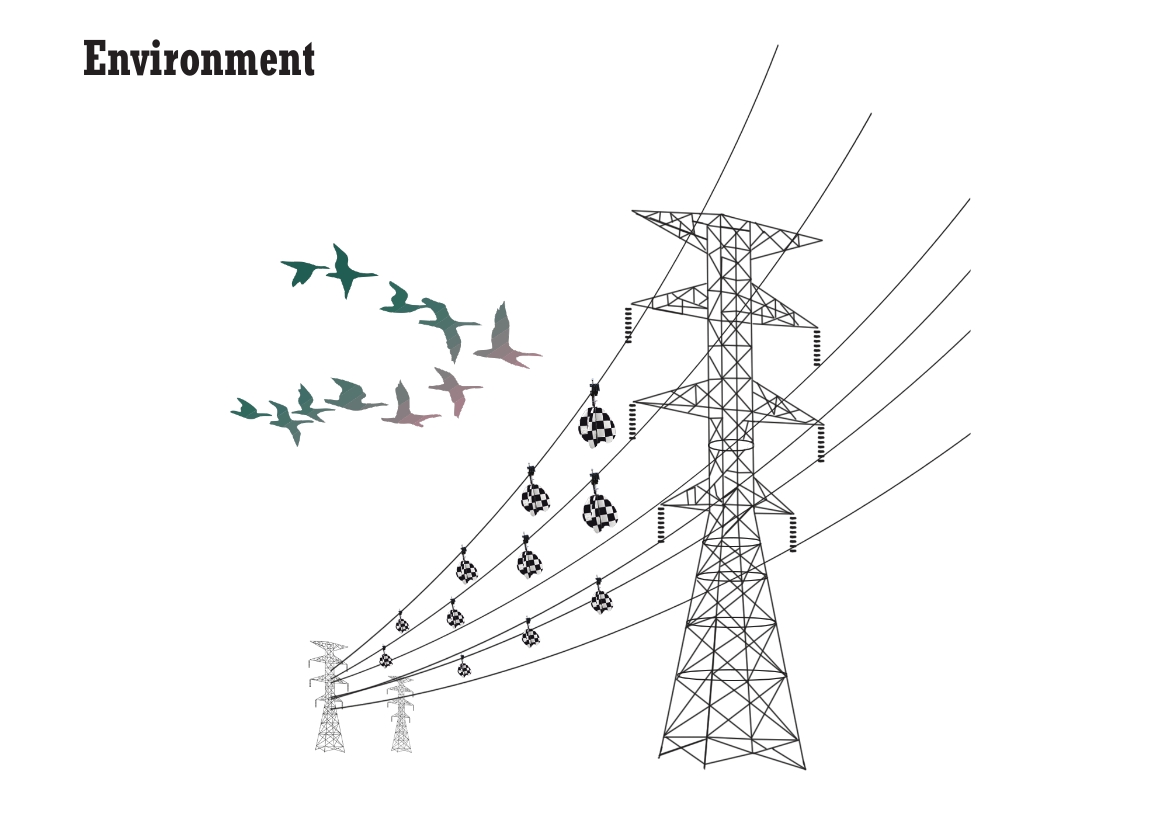 Mitigation of Birds and Power Lines Balmoral Engineering