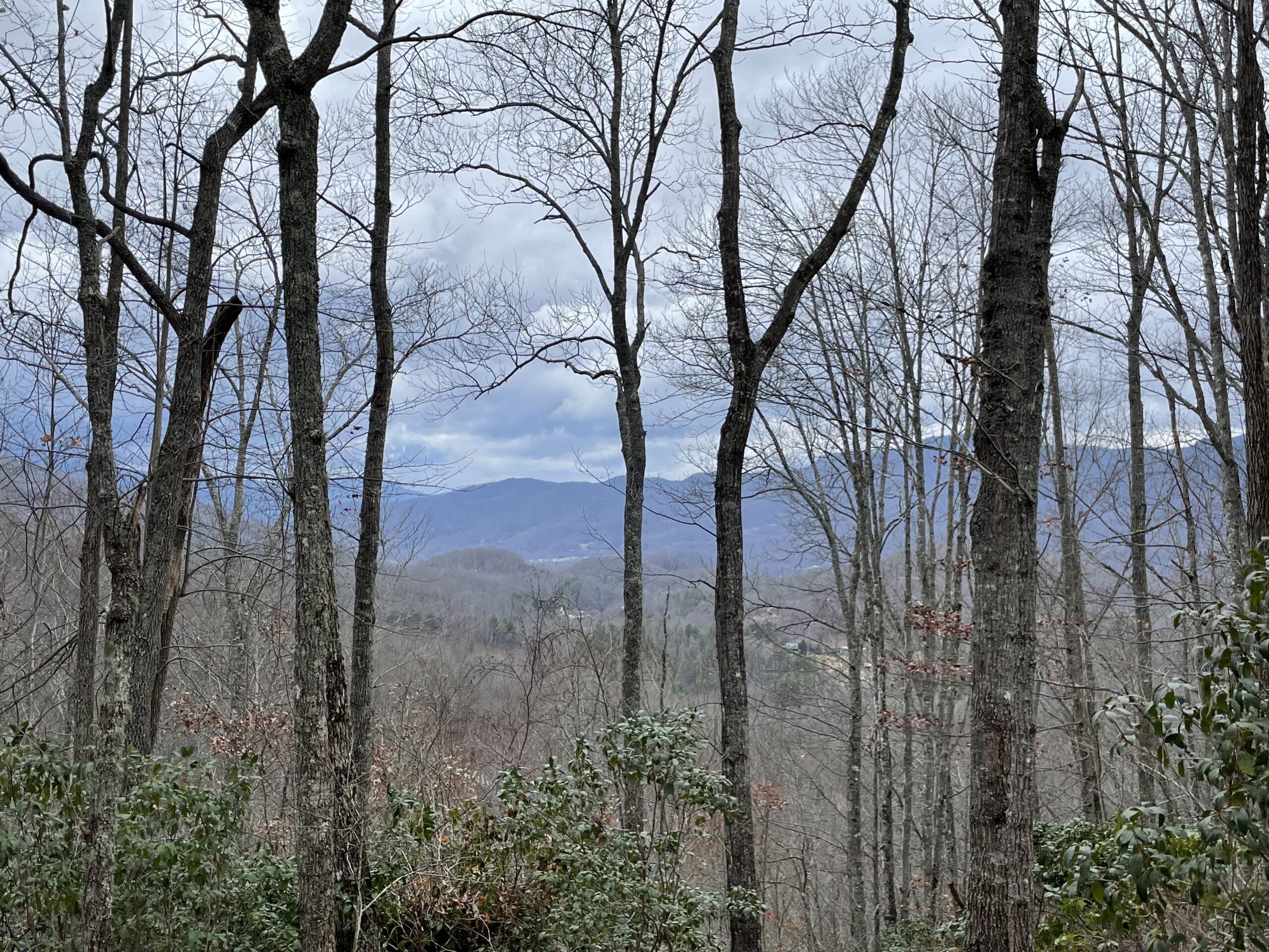 Homestead 14 Balsam Mountain Preserve