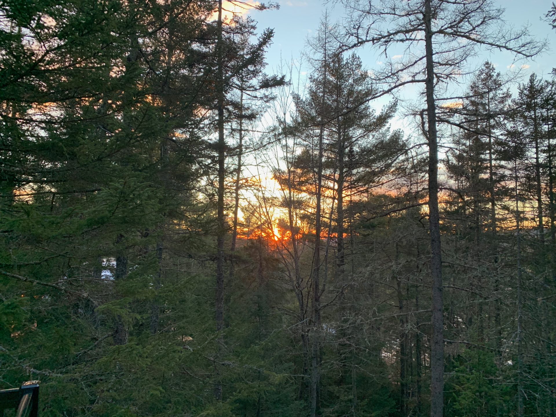 Our Blog Balsam Ridge Forest Domes Inc.