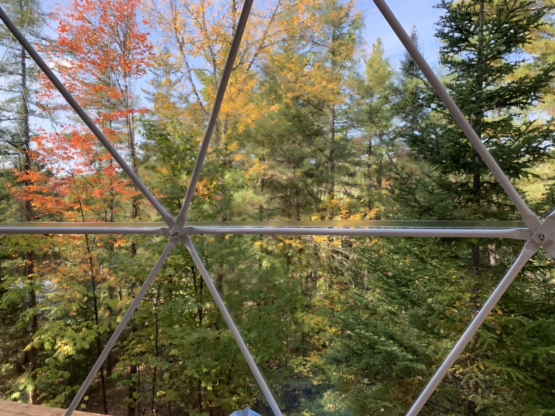 FAQ Balsam Ridge Forest Domes Inc.