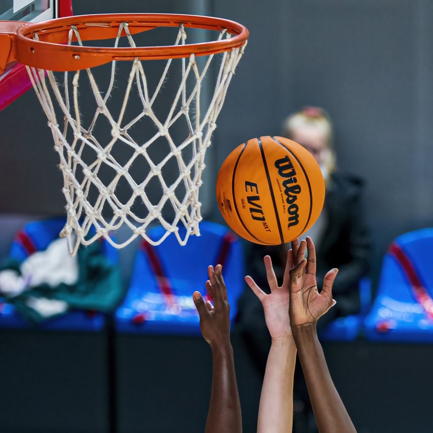 Hand basketball I am Photographer Mikhail Baltaksa
