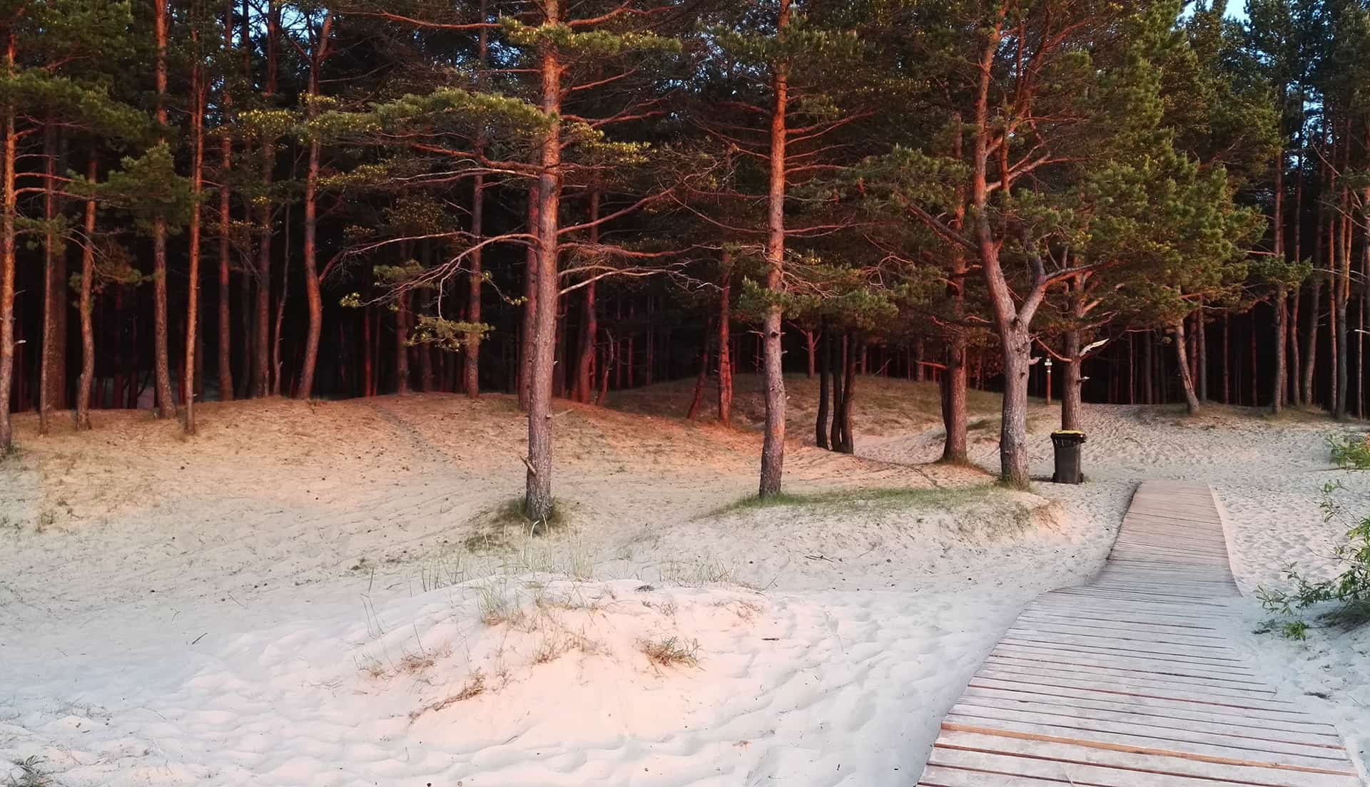 About Us Baltic Proud