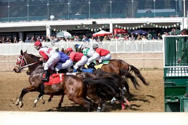 Live horse racing to resume at Laurel Park on Saturday