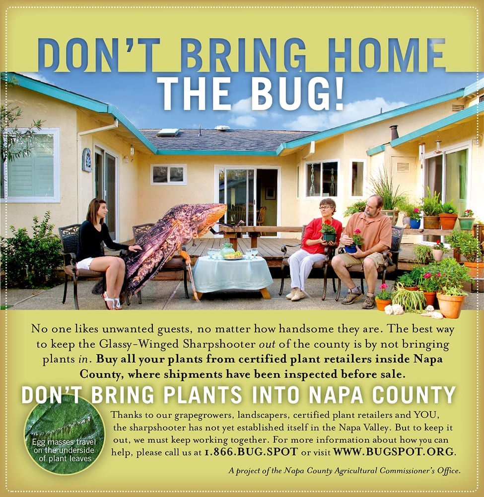 GlassyWinged Sharpshooter Campaign, Napa County Agricultural Commissioner (2) • Balzac