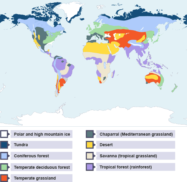 1Natural Hazards, 2 Tectonic Hazards, 3 Weather hazards 4Cliamte