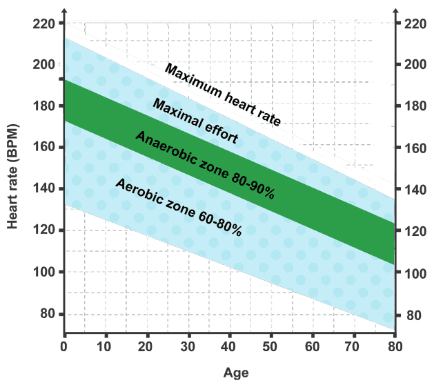 Principles of training EFMURGI