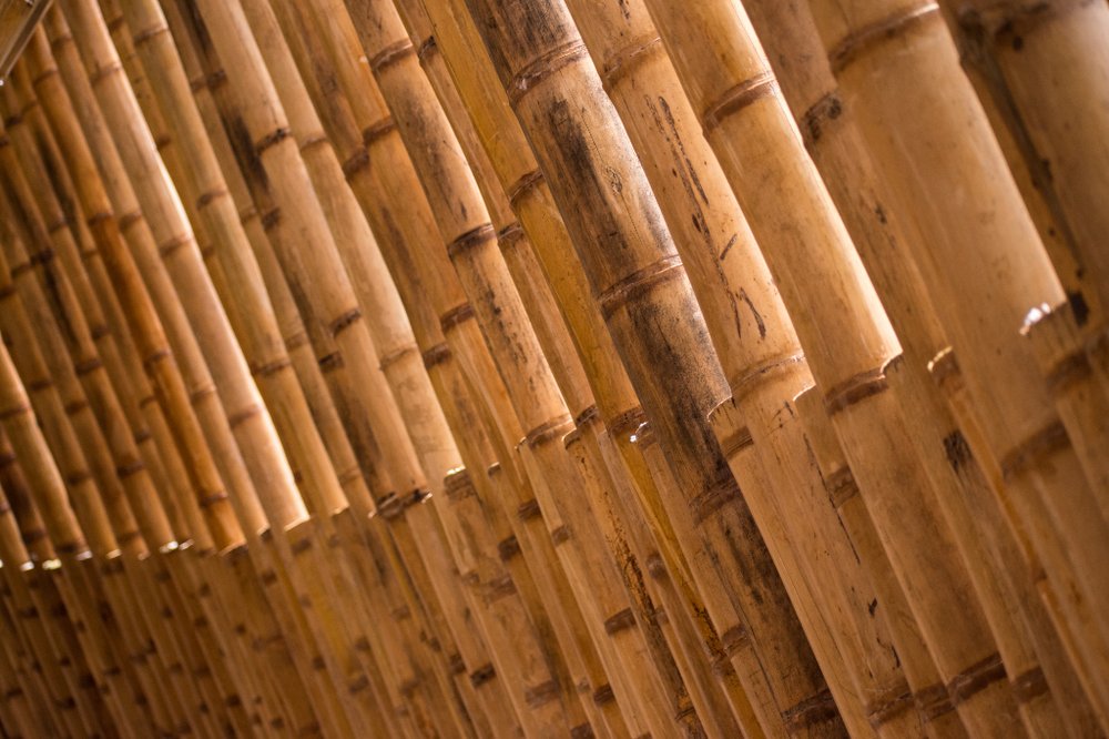Guadua Bamboo Poles Traditional Constrution Materials Bamboo Co