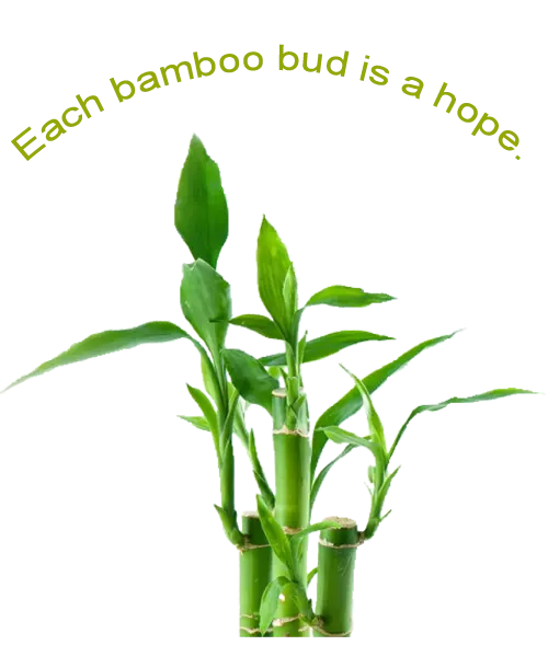 Buy Furniture Online Sydney, Melbourne Bedding Australia