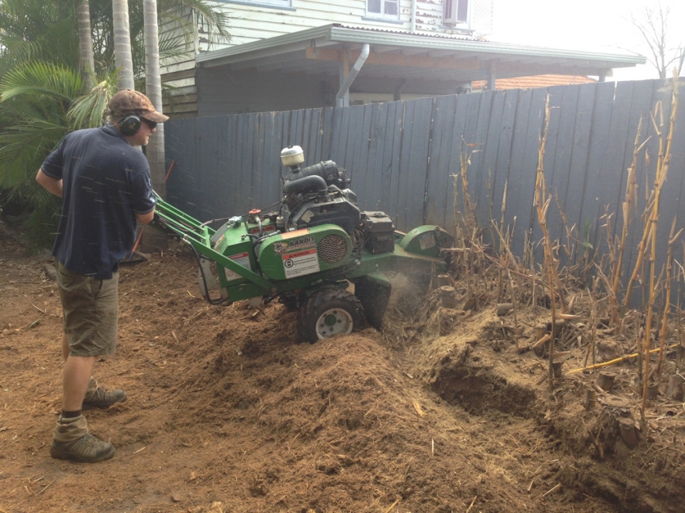 Bamboo Removal Brisbane Removing Bamboo from Brisbane and surrounds