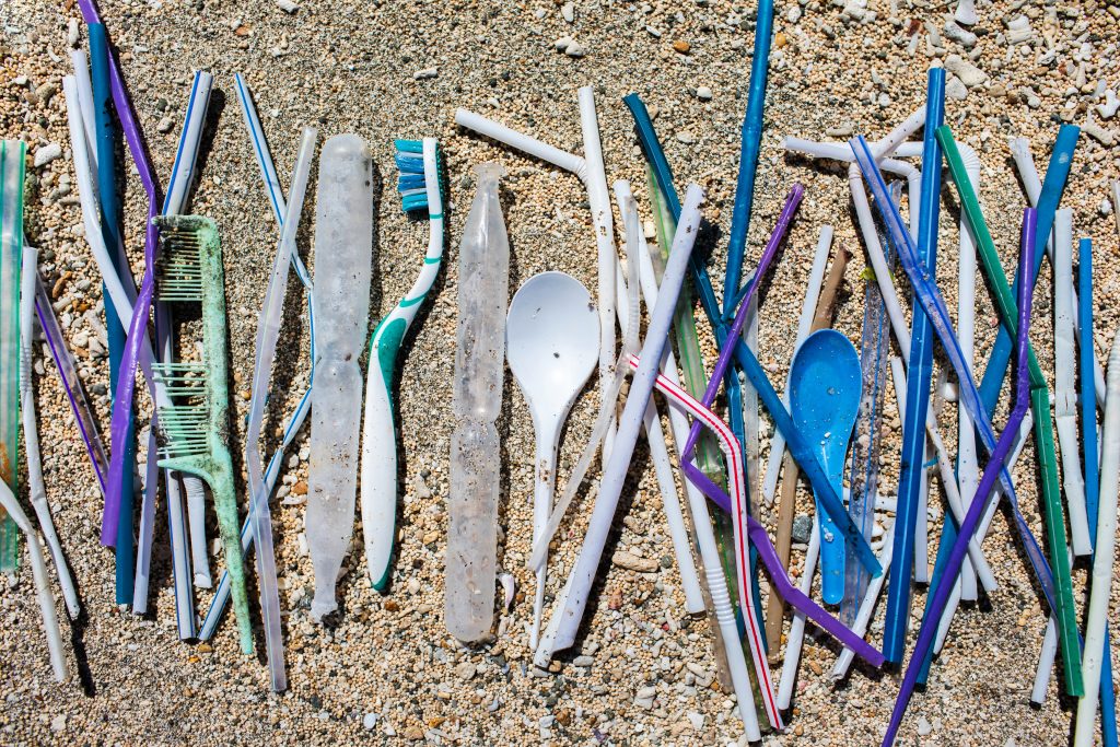 The Environmental Impact of Plastic Toothbrushes Bambooth