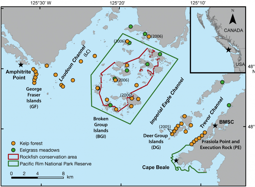 Targeting high quality adult habitat important for rockfish protection