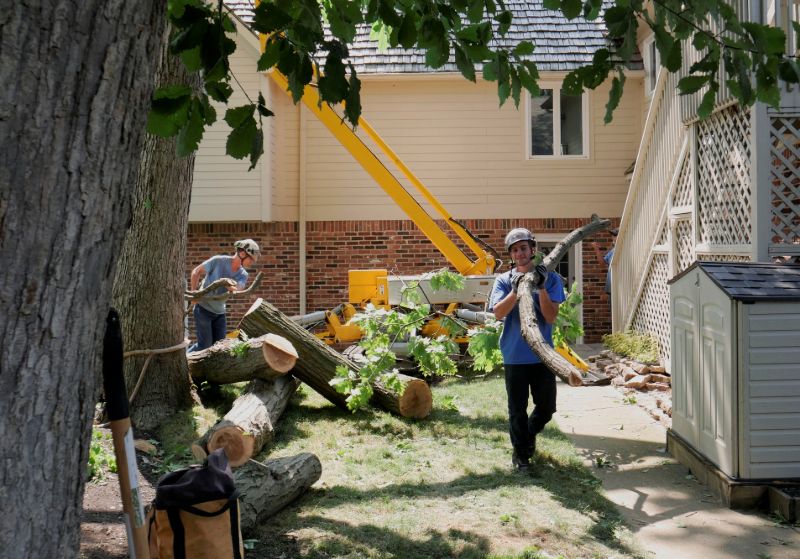 Photo Gallery BAM Outdoor Inc.